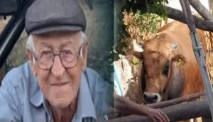 Burdur’da dananın saldırısına uğrayan adam hayatını kaybetti – Birlik Haber Ajansı