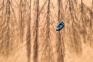 21’inci Devlet Fotoğraf Yarışması sonuçlandı