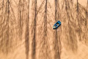 21’inci Devlet Fotoğraf Yarışması sonuçlandı