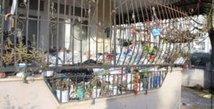 Yaşlı kadının evinden 2 kamyon dolusu çöp çıktı