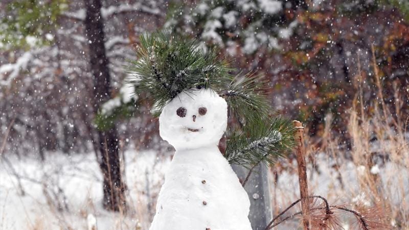 Yurt genelinde yağış ve çığ uyarısı! – Birlik Haber Ajansı