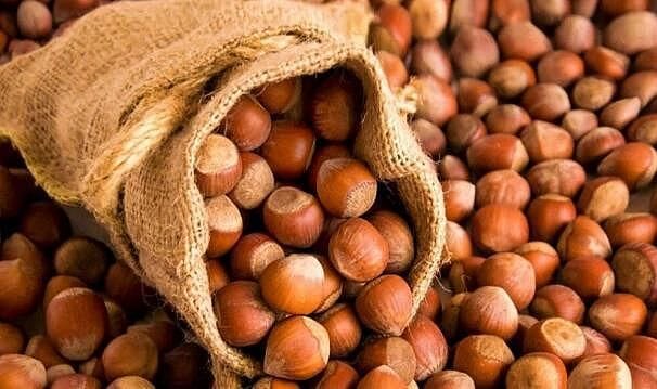 Türkiye’nin fındık ihracatında ilk sıra Almanya’nın – Birlik Haber Ajansı