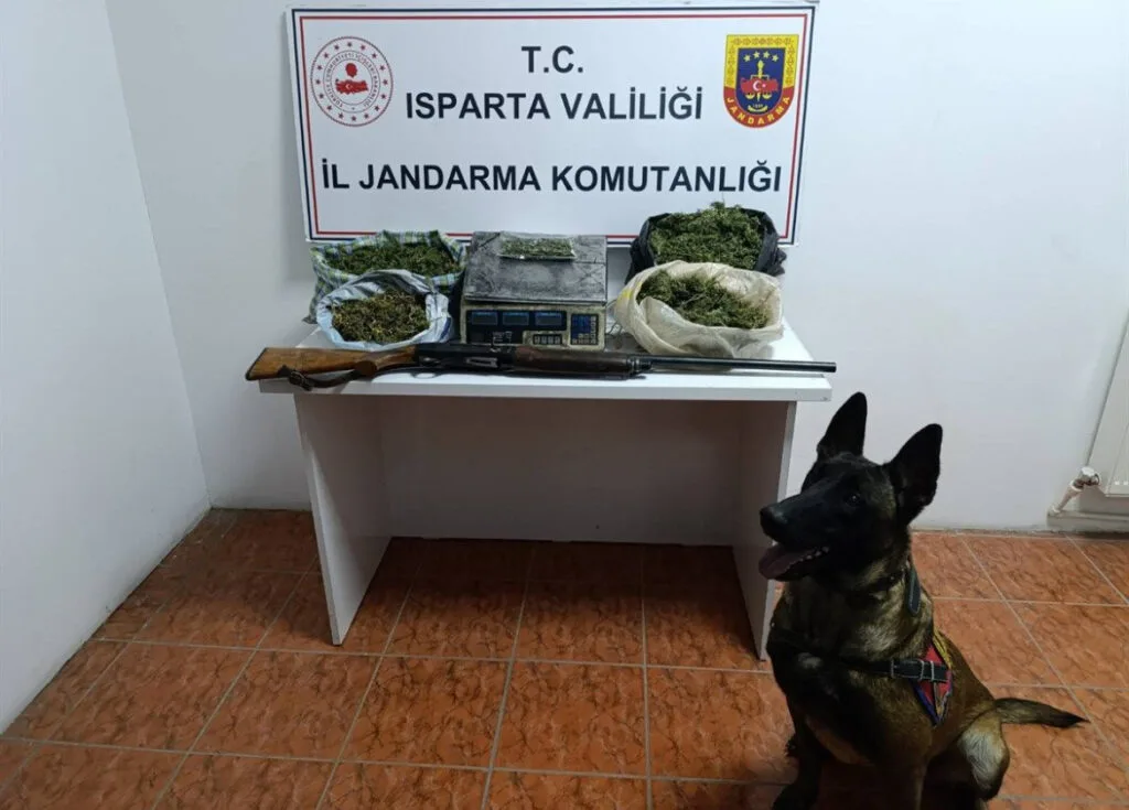 Isparta’da jandarmanın uyuşturucu operasyon bilançosu – Birlik Haber Ajansı