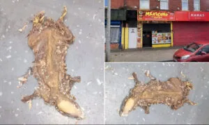 İngiltere’nin sorunu hijyen ve kirlilik! – Birlik Haber Ajansı