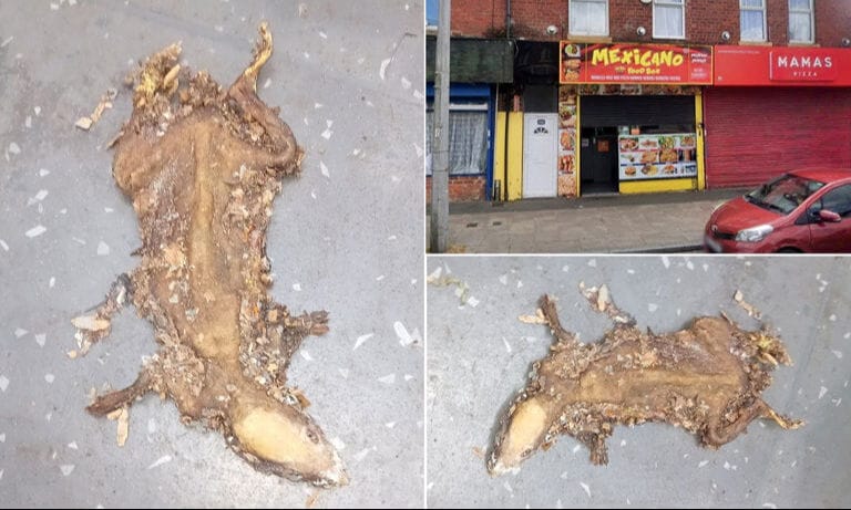 İngiltere’nin sorunu hijyen ve kirlilik! – Birlik Haber Ajansı