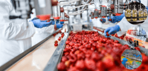 Gıda İşleme ve Pazarlama Sektörüne 527,1 milyon lira hibe verilecek – Birlik Haber Ajansı