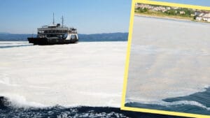 Bakanlık’tan Marmara’ya kıyısı olan belediyelere müsilaj uyarısı! – Birlik Haber Ajansı