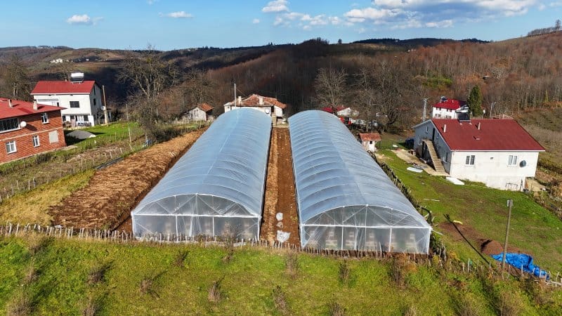 Ordu’nun örtü altı tarımına destek! – Birlik Haber Ajansı