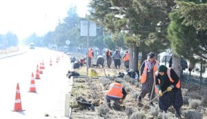Isparta, gül ve lavanta ile bezeniyor – Birlik Haber Ajansı