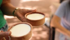 Silifke yoğurdu, AB’den coğrafi işaret tescili aldı – Birlik Haber Ajansı