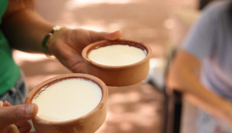 Silifke yoğurdu, AB’den coğrafi işaret tescili aldı – Birlik Haber Ajansı