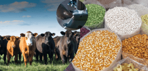 2 milyar 298 milyon tarımsal destekleme ödemesi çiftçilerin hesaplarına aktarıldı – Birlik Haber Ajansı