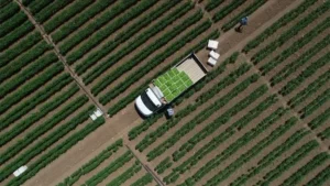 Çiftçinin gideri katlanıyor: Tarım-GFE martta yükseldi – Birlik Haber Ajansı