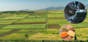 Tarım destek ödemeleri çiftçilerin hesaplarına aktarıldı – Birlik Haber Ajansı