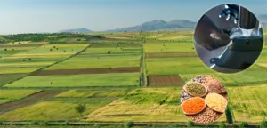 Çiftçilere Müjde – Birlik Haber Ajansı