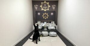 Karadeniz Sahil Yolu’nda uyuşturucu operasyonu – Birlik Haber Ajansı