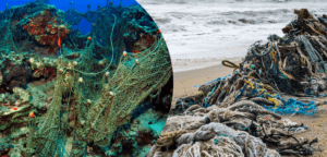 Denizlerden 224 Futbol Sahası Büyüklüğünde Hayalet Ağ Çıkarıldı – Birlik Haber Ajansı