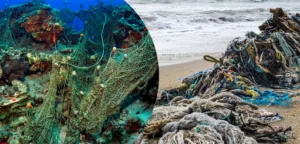 Denizlerden 224 Futbol Sahası Büyüklüğünde Hayalet Ağ Çıkarıldı – Birlik Haber Ajansı