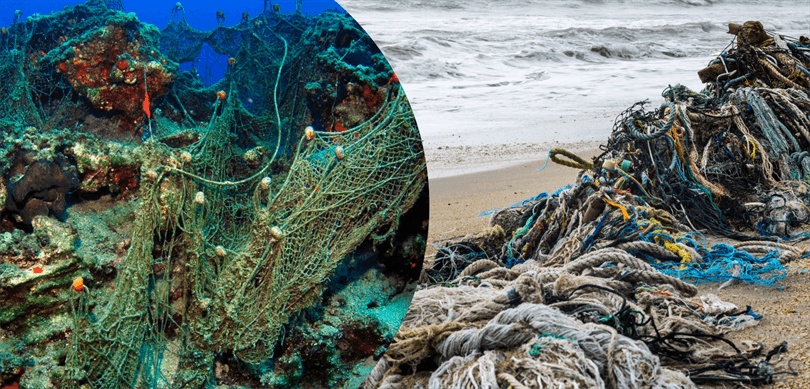 Denizlerden 224 Futbol Sahası Büyüklüğünde Hayalet Ağ Çıkarıldı – Birlik Haber Ajansı