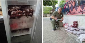 Yasa dışı avlanan kızılgeyik’in eti buzdolabında bulundu – Birlik Haber Ajansı