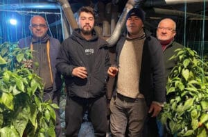 Antalya Serik’te zirai dona karşı gece sera nöbeti başladı – Birlik Haber Ajansı