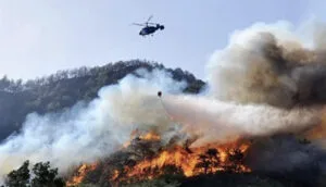 Antalya’daki orman yangını kontrol altına alındı! 2 hektar alan zarar gördü – Birlik Haber Ajansı