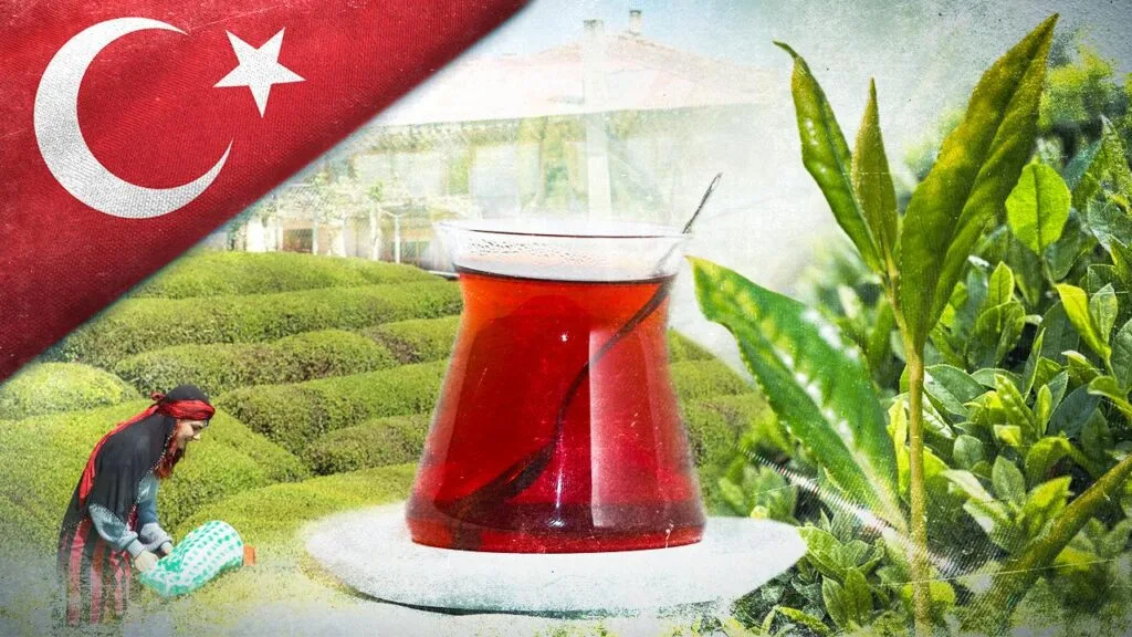 Türk çayı 1,2 milyon dolar kazandırdı – Birlik Haber Ajansı