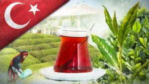 Türk çayı 1,2 milyon dolar kazandırdı – Birlik Haber Ajansı
