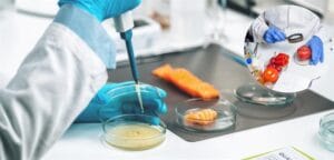 AB’de Yürütülen Gıda Güvenliği Kampanyasına Türkiye de Katıldı – Birlik Haber Ajansı