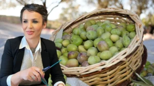 Aydın Memecik zeytini, Avrupa Komisyonu’ndan coğrafi işaret aldı – Birlik Haber Ajansı