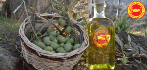 Aydın Memecik Zeytini, Avrupa Birliğinden Tescil Aldı – Birlik Haber Ajansı