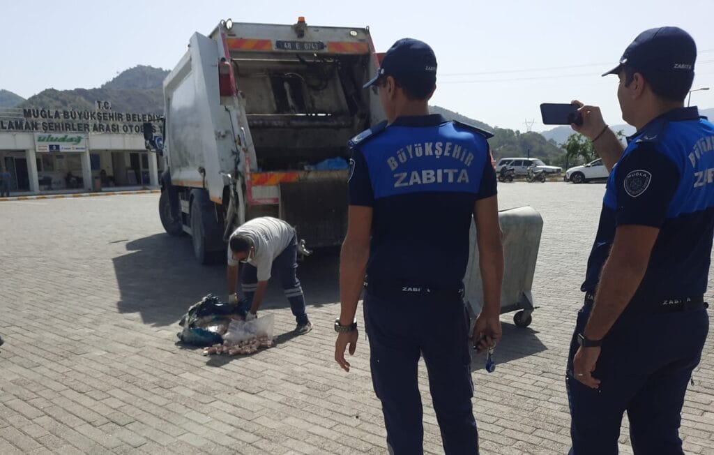 Muğla Büyükşehir zabıtası gıda denetimlerine devam ediyor – Birlik Haber Ajansı