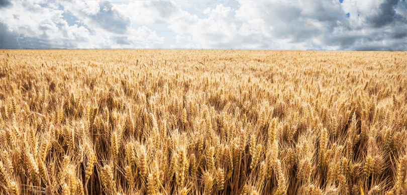 2 milyar 789 milyon liralık destekleme ödemesi, çiftçilerin hesaplarına aktarıldı – Birlik Haber Ajansı