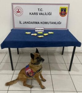 Kars’ta arama köpeği “Tabya” zehir tacirlerine geçit vermiyor! – Birlik Haber Ajansı