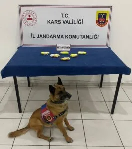 Kars’ta arama köpeği “Tabya” zehir tacirlerine geçit vermiyor! – Birlik Haber Ajansı