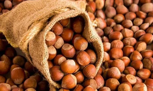 Fındık borsası tırmanışı sürdürüyor – Birlik Haber Ajansı
