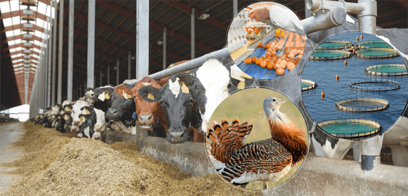 Tarım Bakanlığından, 188 Milyon Avro Tarımsal Hibe Desteği Verilecek – Birlik Haber Ajansı