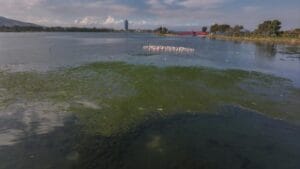 İzmir Büyükşehir Belediyesi’ne çevre cezası:1 milyon 858 bin lira – Birlik Haber Ajansı