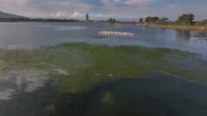 İzmir Büyükşehir Belediyesi’ne çevre cezası:1 milyon 858 bin lira – Birlik Haber Ajansı