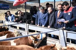 2028’den itibaren kırmızı et ithalatı sona erecek – Birlik Haber Ajansı