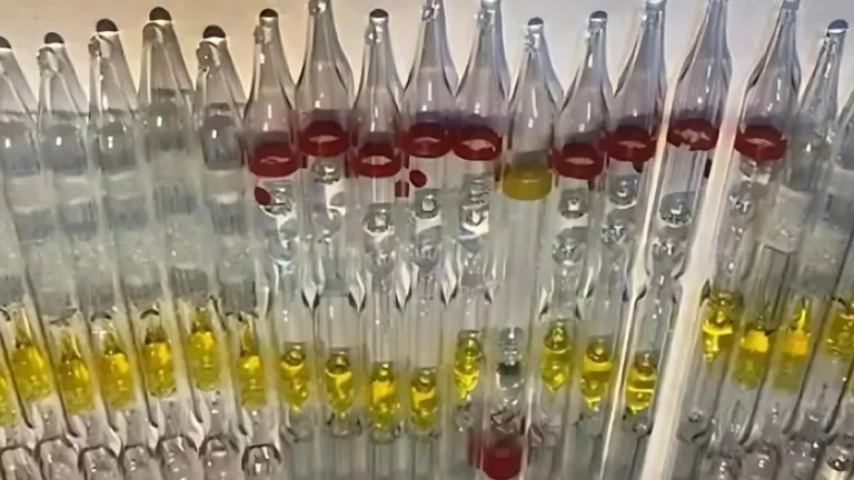 Başkent’te zehir operasyonu: Kalemlere gizlenmiş kobra zehri ele geçirildi – Birlik Haber Ajansı