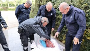 Antalya otogarında 1,5 ton sağlıksız ciğere el konuldu – Birlik Haber Ajansı