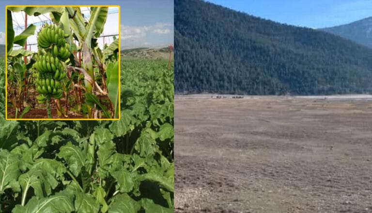 Antalya’daki su kuyularının yüzde 90’ı kaçak! – Birlik Haber Ajansı