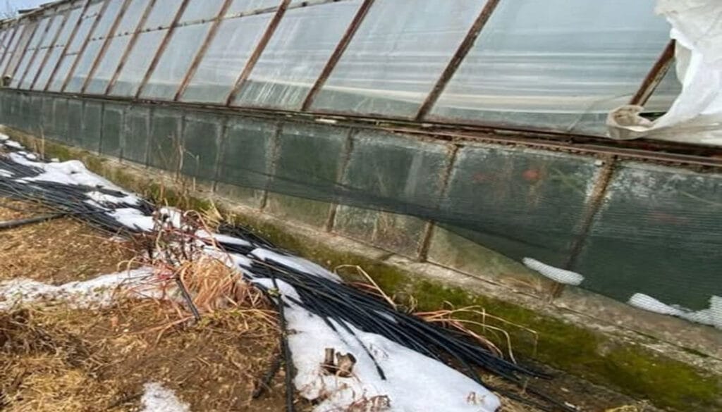 Serik’te Ramazan bayramı sabahı dolu sürprizi – Birlik Haber Ajansı