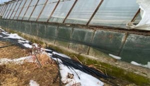 Serik’te Ramazan bayramı sabahı dolu sürprizi – Birlik Haber Ajansı