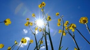 İstanbul AKOM: Sıcaklıklar artacak, yağış beklenmiyor – Birlik Haber Ajansı