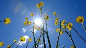 İstanbul AKOM: Sıcaklıklar artacak, yağış beklenmiyor – Birlik Haber Ajansı