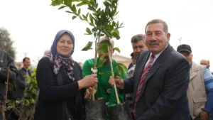 Milas Belediyesi üreticilere fidan desteği sağladı – Birlik Haber Ajansı