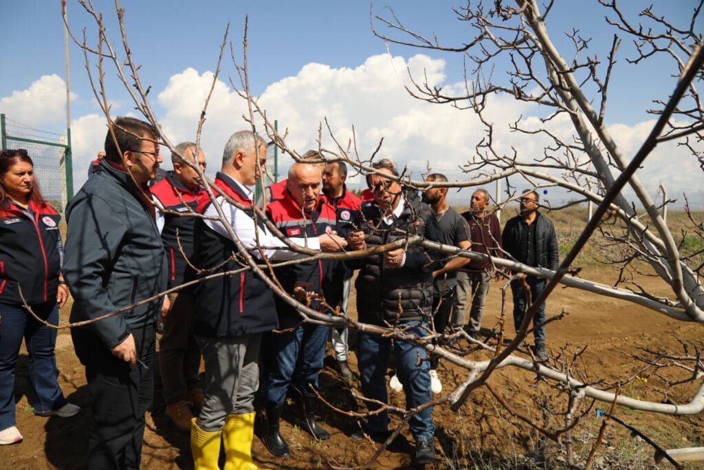 Kırıkkale’de don zararı sahada incelendi – Birlik Haber Ajansı