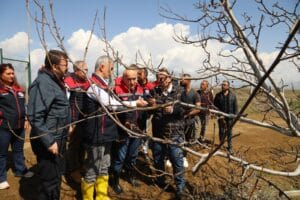 Kırıkkale’de don zararı sahada incelendi – Birlik Haber Ajansı